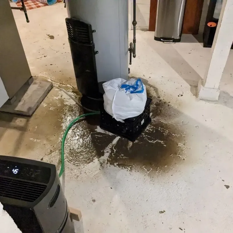 Sewage Backup Cleanup Service in Phillips County, AR